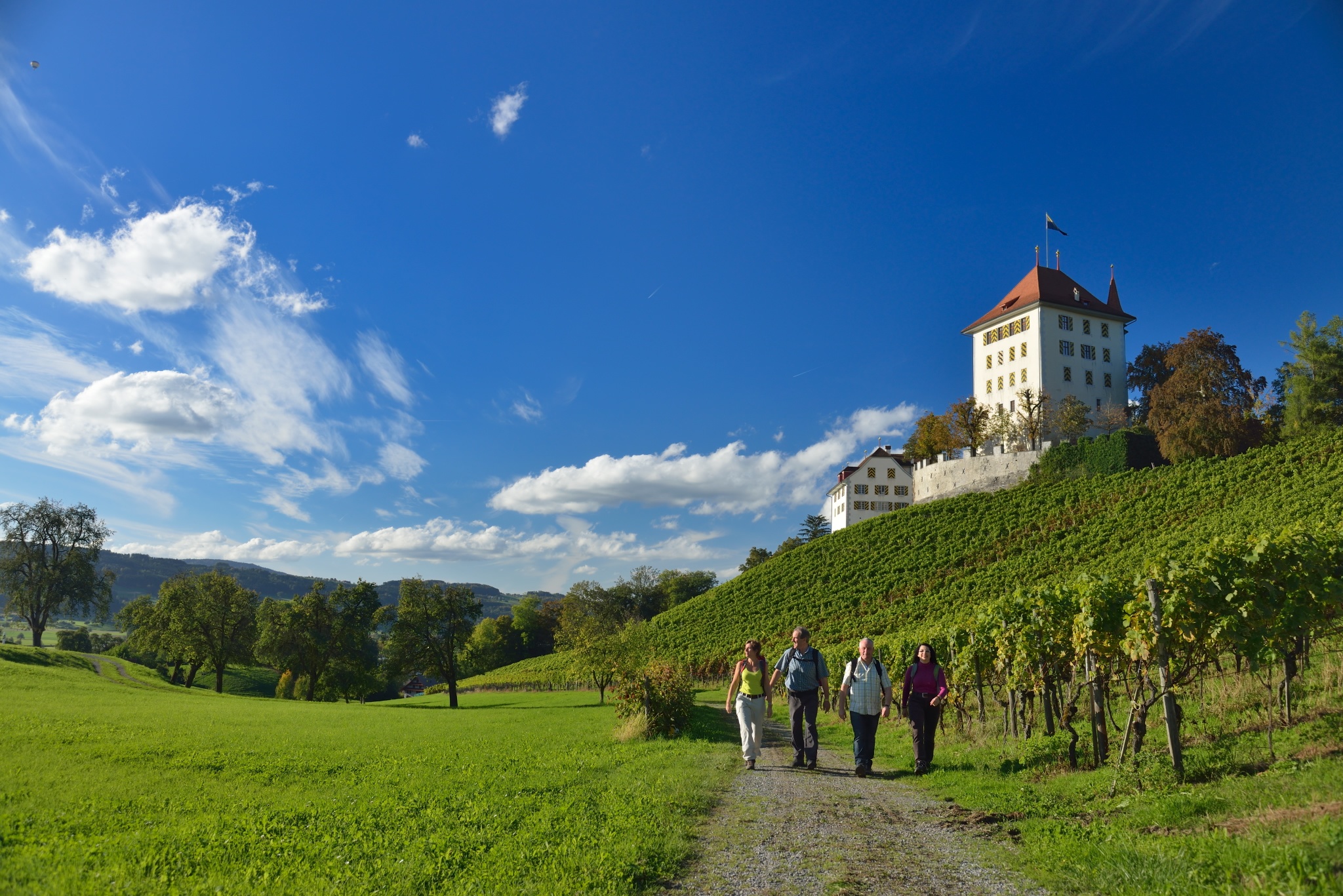 Schloss Heidegg