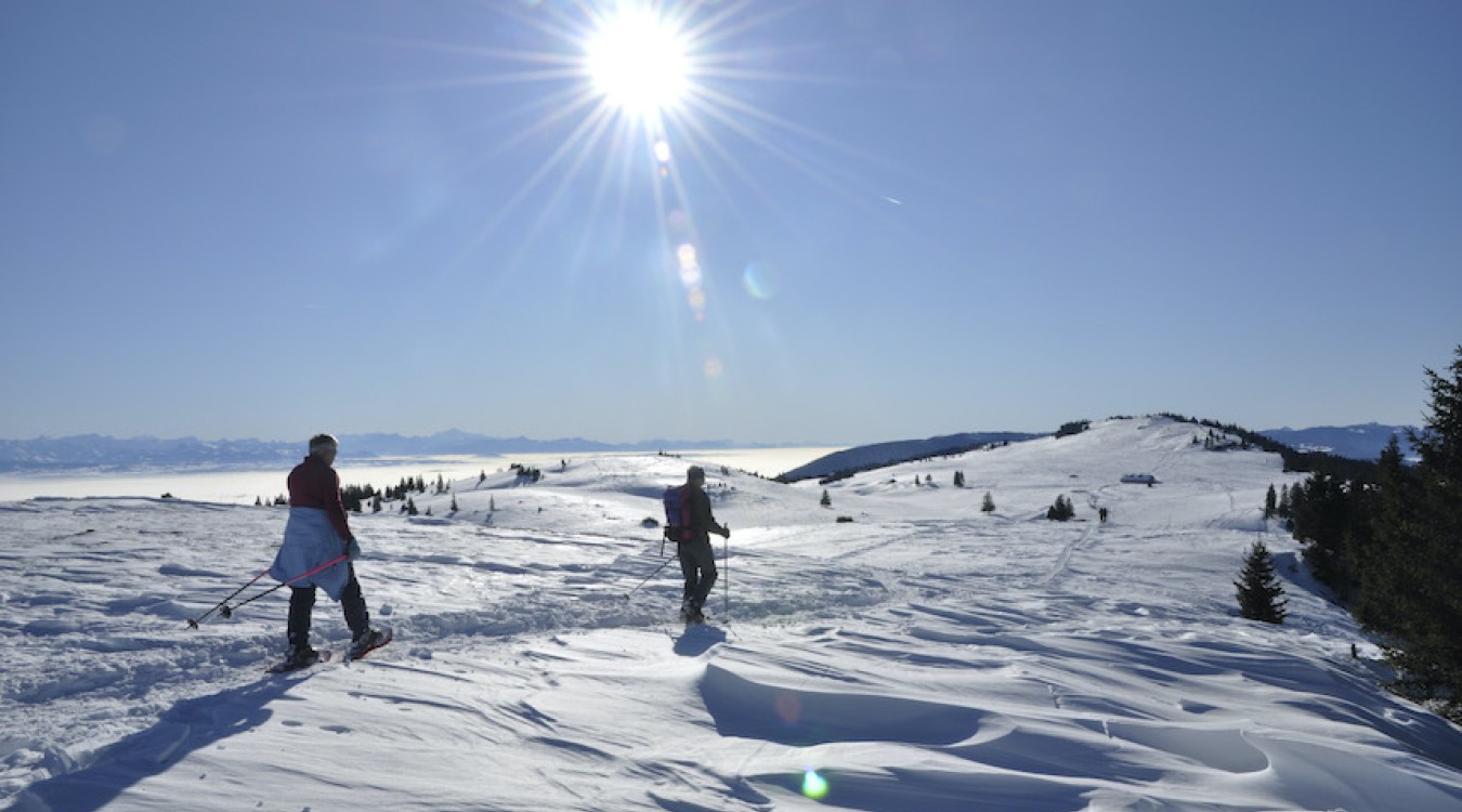 Schneeschuhwanderer in der Landschaft