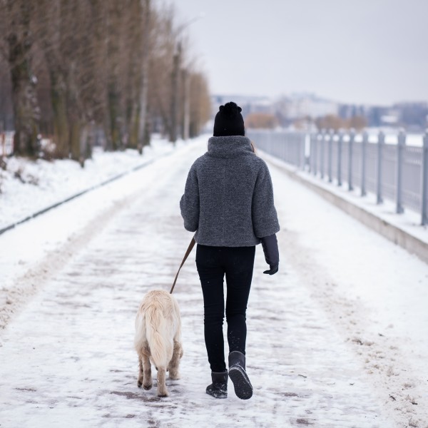 freepik.com Bild von senivpetro