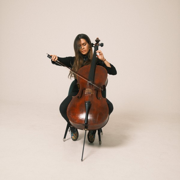 Violoncello Bild