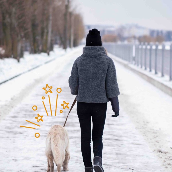 Winter Hund