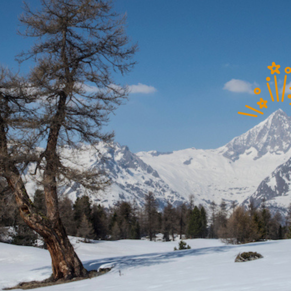 Wanderung Bürchen