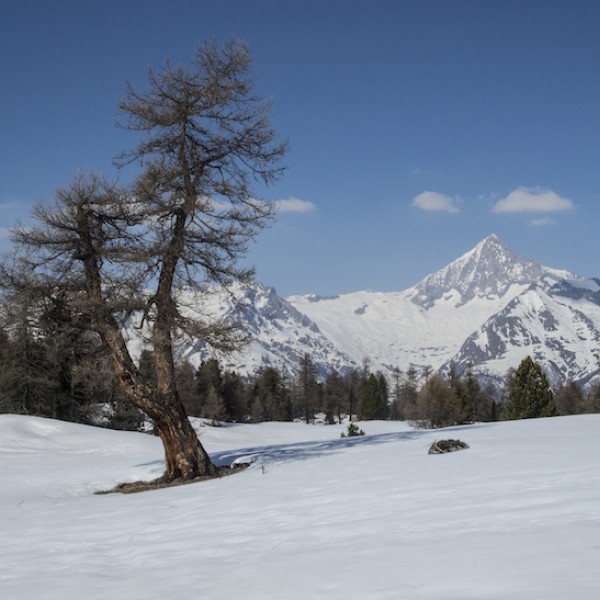 Wanderung Bürchen