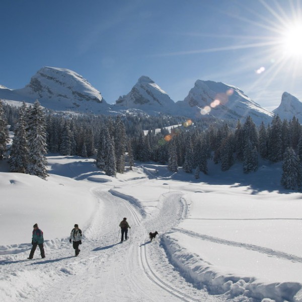 Menschen laufen über Winterwanderweg