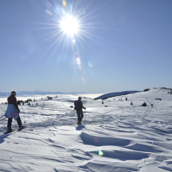 Schneeschuhwanderer in der Landschaft