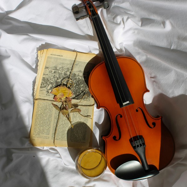 Violin Bild