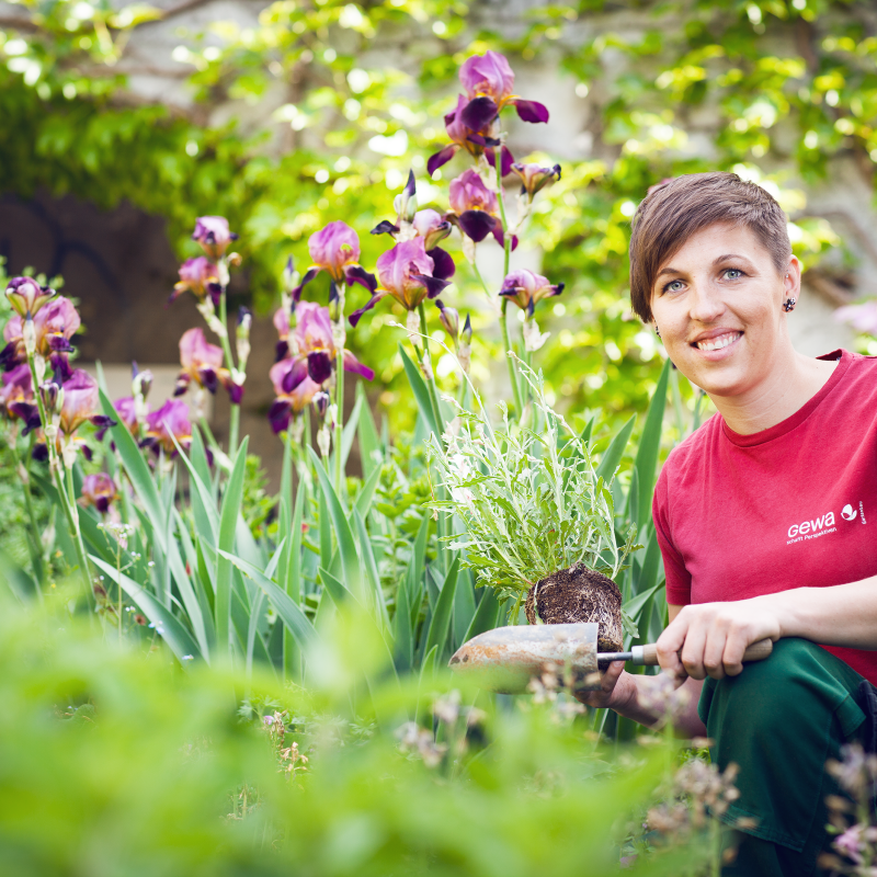 Gartenarbeit