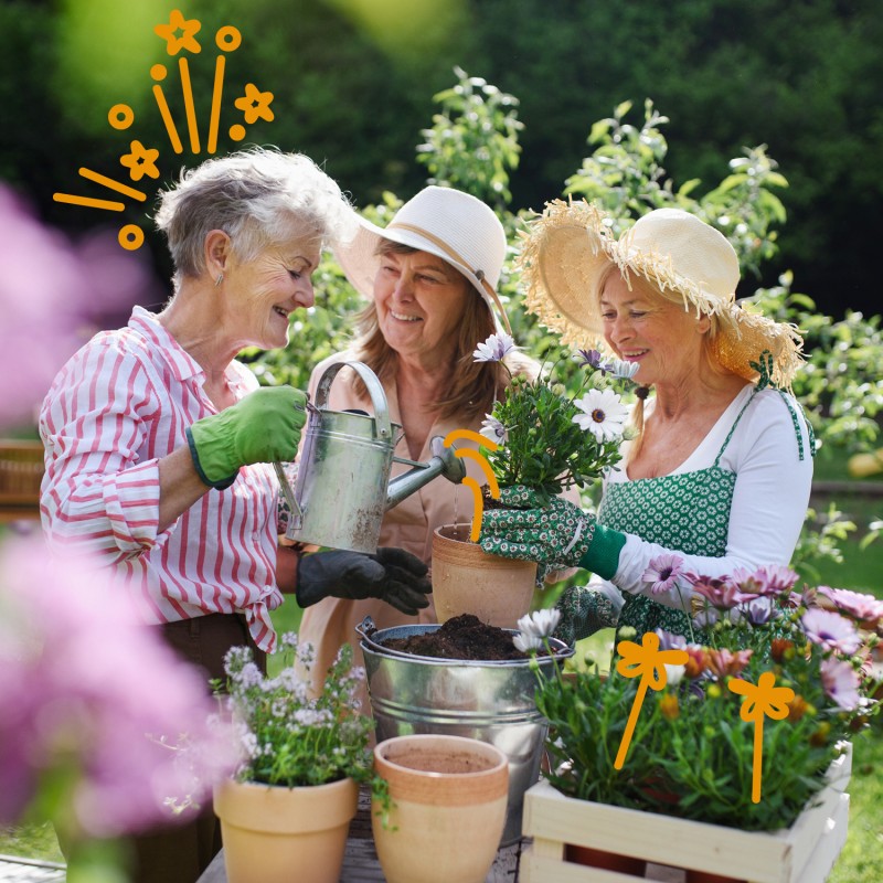 Wissen und Engagement